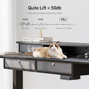 Adjustable Electric Standing Desk with Storage Drawers - 55