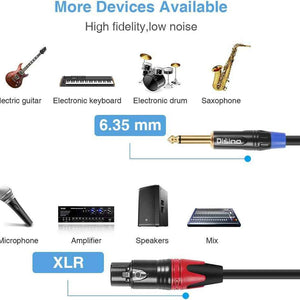 XLR Female to Dual 1/4