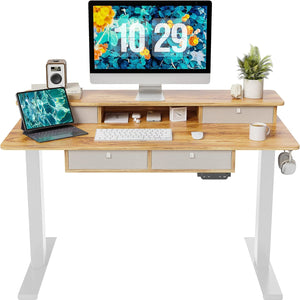 Adjustable Electric Standing Desk with Storage Drawers - 55