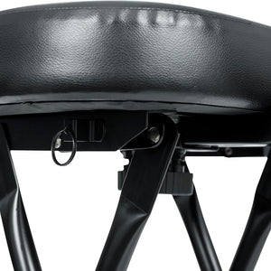 Seat with Padded Cushion, Ergonomic Backrest & Fold Holds Electric Acoustic Guitar Stand (GFW-GTR