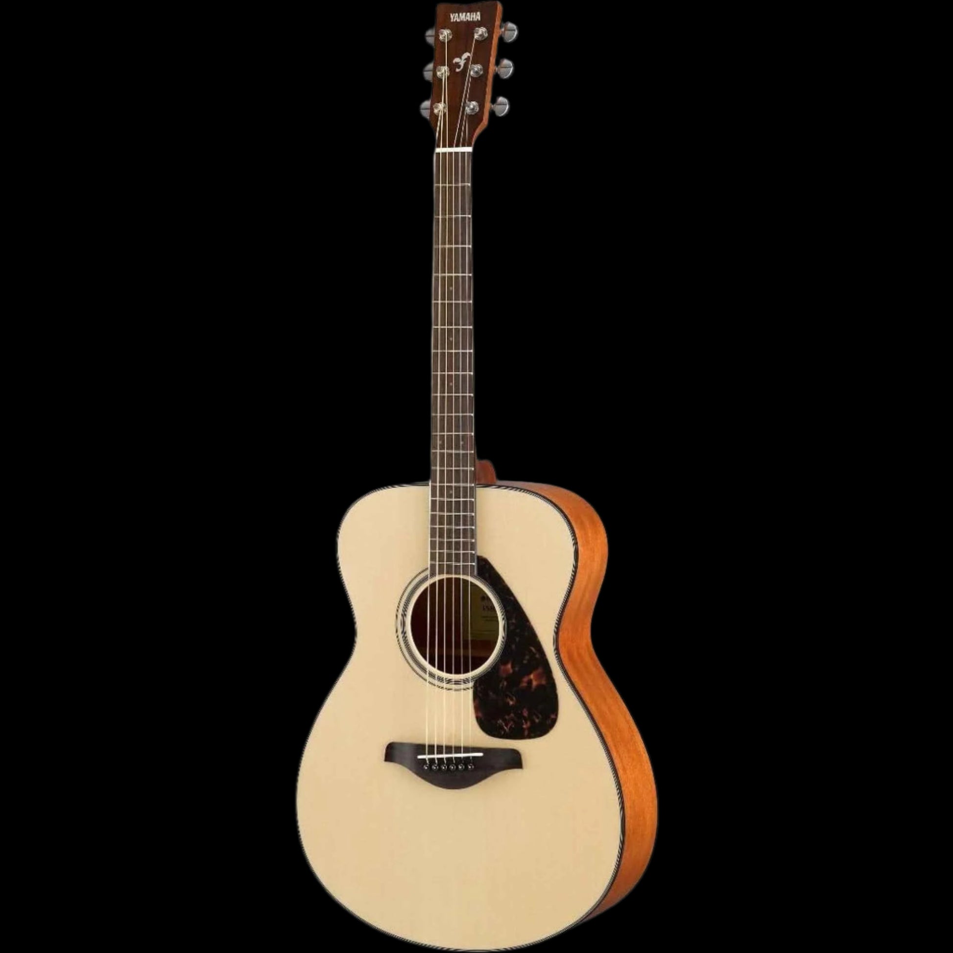 FS800 Small Body Solid Top Acoustic Guitar, Natural, Concert