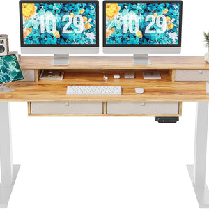 Adjustable Electric Standing Desk with Storage Drawers - 55